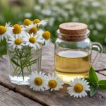 Les bienfaits de la camomille pour apaiser l’esprit, réduire l’anxiété et bien dormir