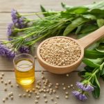 Les plantes laxatives naturelles les plus efficaces pour un transit intestinal équilibré